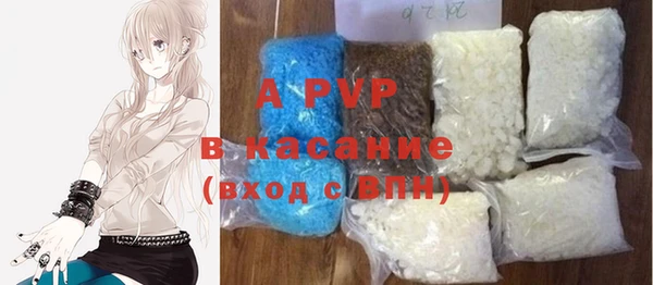 хмурый Абаза