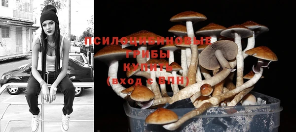 прущие грибы Абинск