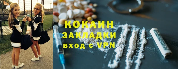 мдпв Анива