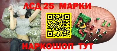 спиды Коммунар