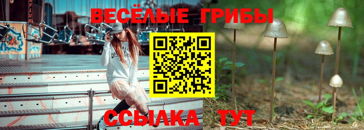Галлюциногенные грибы прущие грибы  Вход с VPN  Касимов  Галлюциногенные грибы Cubensis 