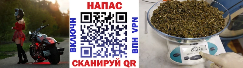 купить наркотики цена  Касимов  omg онион  Марихуана план 